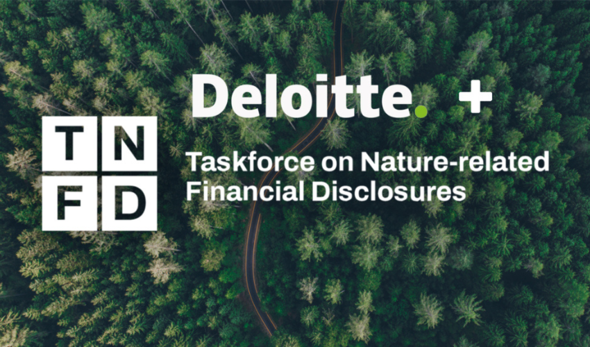 Deloitte Launches LEAP Dashboard to Change Nature-Related Financial Disclosures