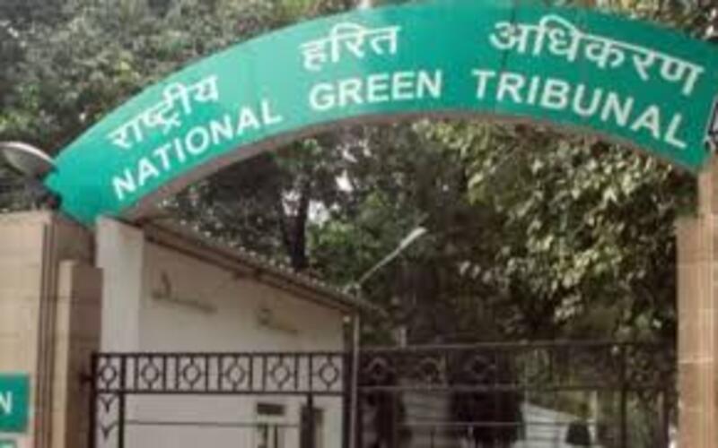 NGT Issues Notice to Authorities Following Reports of Toxic Foam in Tamil Nadu River