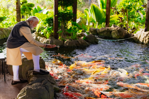 PM inaugurates and visits the wildlife rescue, rehabilitation and conservation centre at Vantara