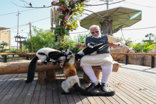 PM inaugurates and visits the wildlife rescue, rehabilitation and conservation centre at Vantara