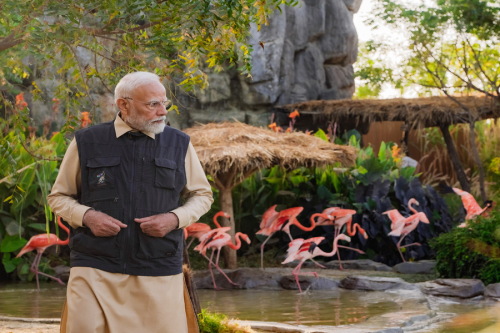 PM inaugurates wildlife rescue, rehabilitation and conservation centre at Vantara