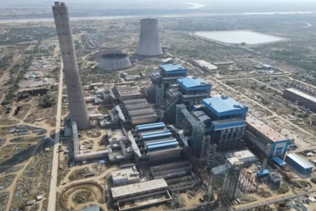 Innovative Approach: NTPC to Co-fire Bamboo at Solapur Thermal Power Plant