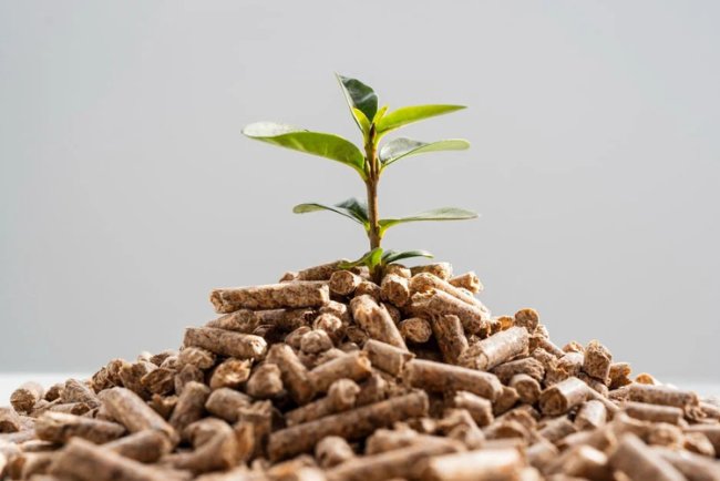 Study: Green Energy Key to Germany's GHG Emission Reduction in 2024