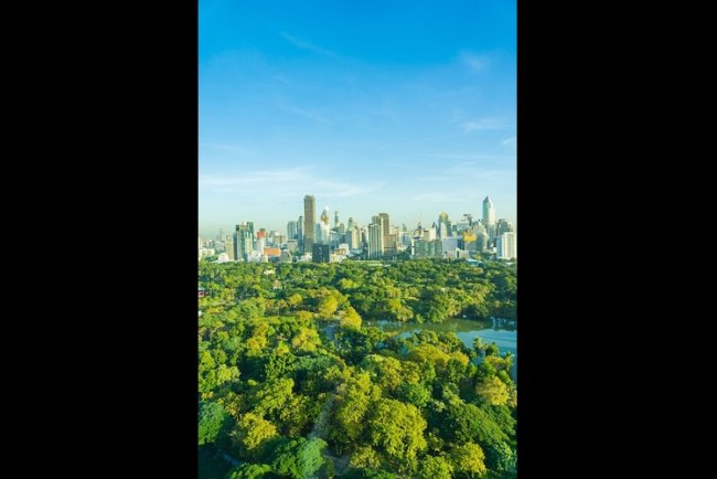 Guocoland Secures $908M Green Loans For Sustainable Projects