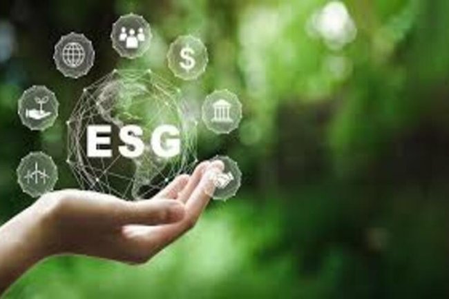 ESG in Islamic Finance: A Growing Trend