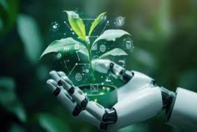IBM's Focus on Sustainable Computing, AI Ethics, and Circular Economy Practices