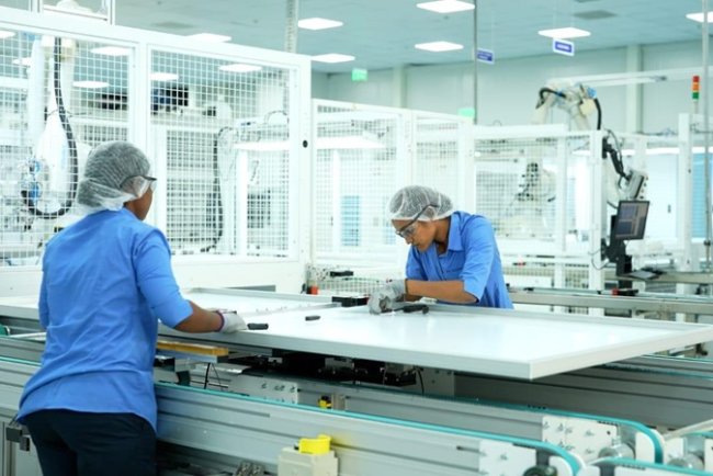 TP Solar Wins Rs 455 Cr Contract To Supply 300 MWp ALMM Modules To MSPGCL