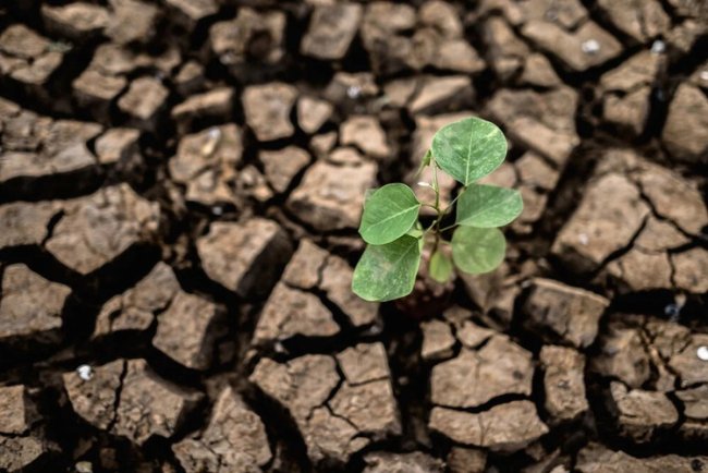 Understanding Trace: Insights from Joanna Auburn