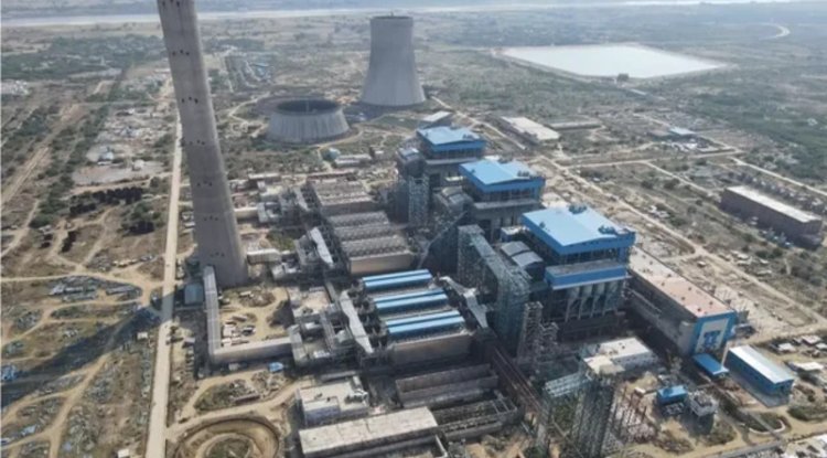 Innovative Approach: NTPC to Co-fire Bamboo at Solapur Thermal Power Plant