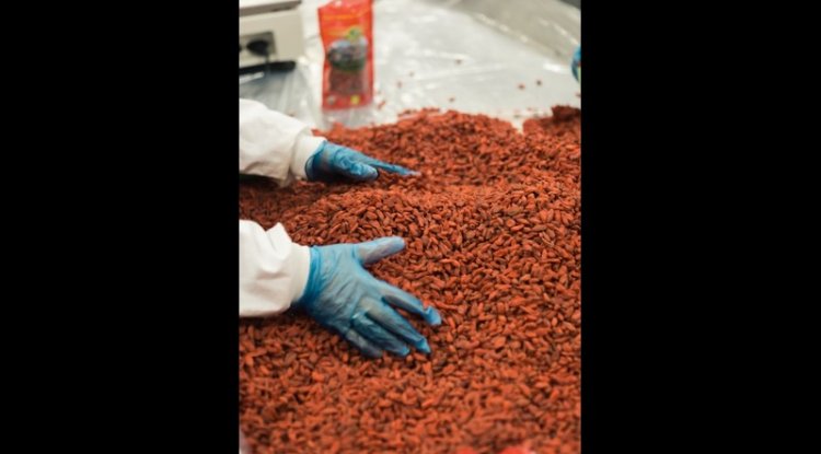 Mars Aims For Segregated Cocoa Supply Chain By 2030