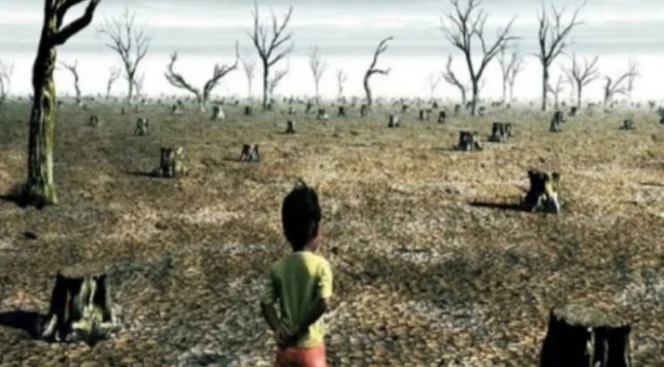 India's Agenda at WEF 2025: Tackling Armed Conflict and Climate Change