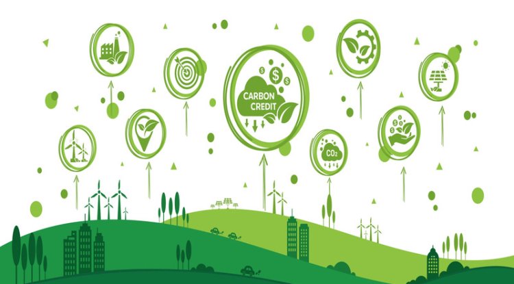 Indonesia Launches International Carbon Trading Platform
