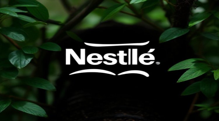 Analyzing Nestlé's Advancements in ESG Reporting and Corporate Accountability