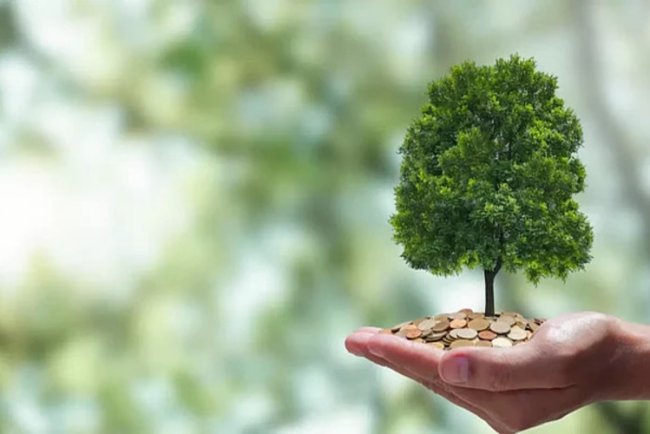 RBC Withdraws from Climate Finance Alliance