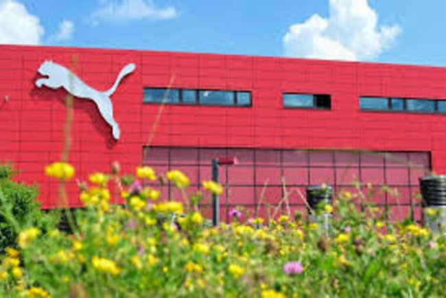 Puma's Path to Climate Neutrality: A 2030 Roadmap