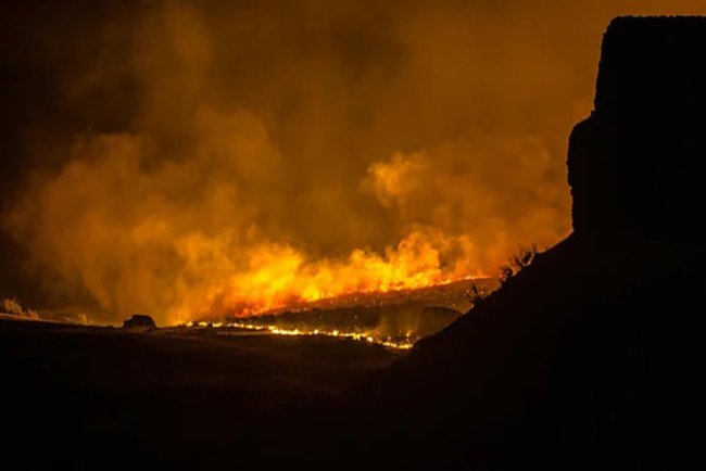 Extreme Weather: January Heatwave and the Climate Crisis