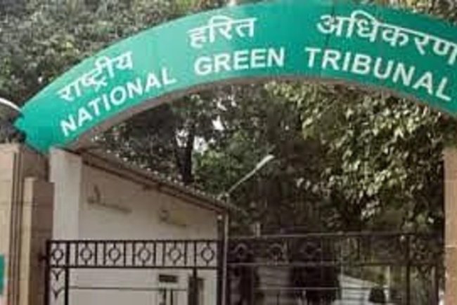 NGT Slaps ₹10,000 Fine on District Magistrate for 'Misleading' Court