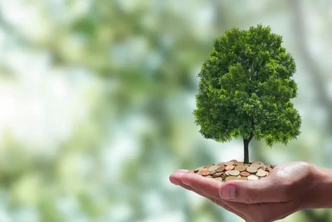 India Secures $1.16 Billion for Climate Action