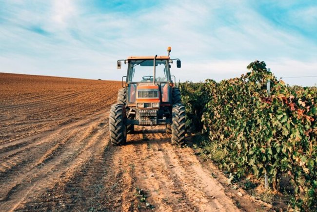 Food-climate Crossroads: Building A Future-ready Agri Economy With Satellites