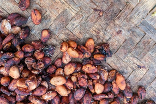 Historic: Cocoa Industry Gets First GHG Accounting Standard