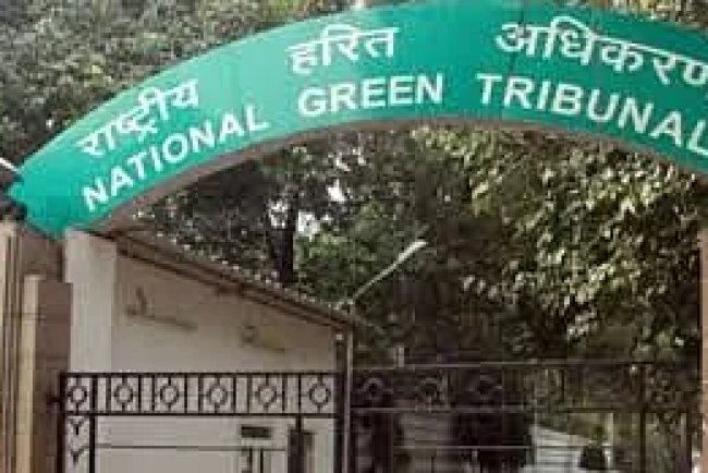 NGT Finds "Gross Violations" by Greater Mohali Area Development Authority