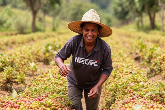 Nescafé's Commitment to Coffee Farmers: Support for Livelihoods and Sustainability