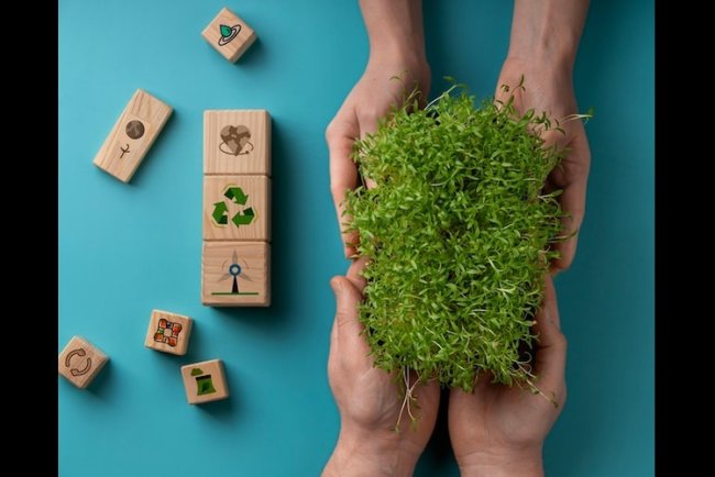 Revolutionary Green Grout Transforms Sustainable Construction