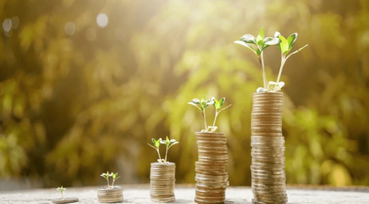 European Firms Receive Financial Backing for Energy Transition Projects