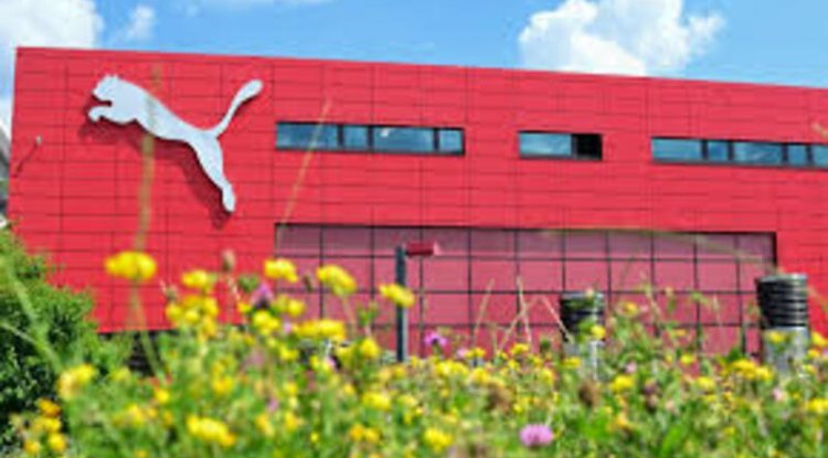 Puma's Path to Climate Neutrality: A 2030 Roadmap