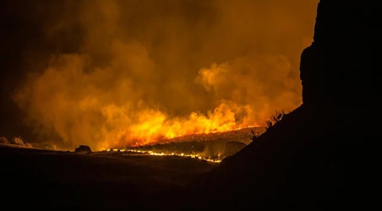 Extreme Weather: January Heatwave and the Climate Crisis