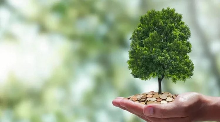India Secures $1.16 Billion for Climate Action