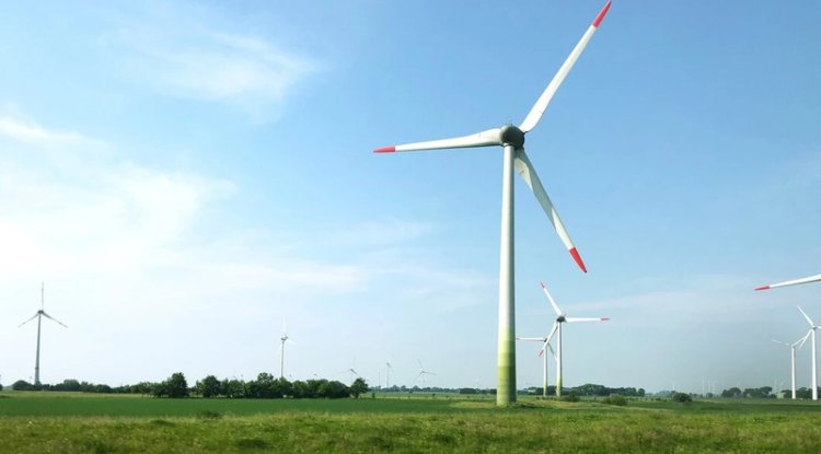 Octopus Energy Leads the Way with Green Share Investments