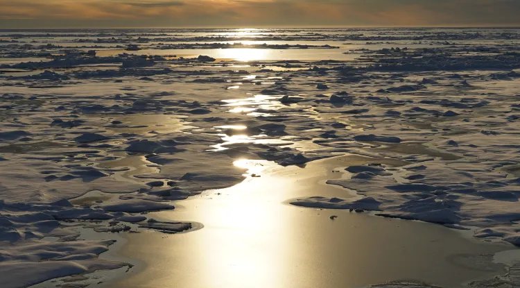 Arctic Faces Irreversible Changes As Global Temperatures Near 2.7°C Threshold, Study Warns