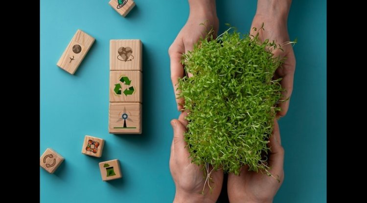 Jimi Cohen Sets World Record by Planting 30,469 Trees