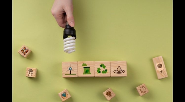 Schneider Electric Exceeds 2024 Sustainability Goals