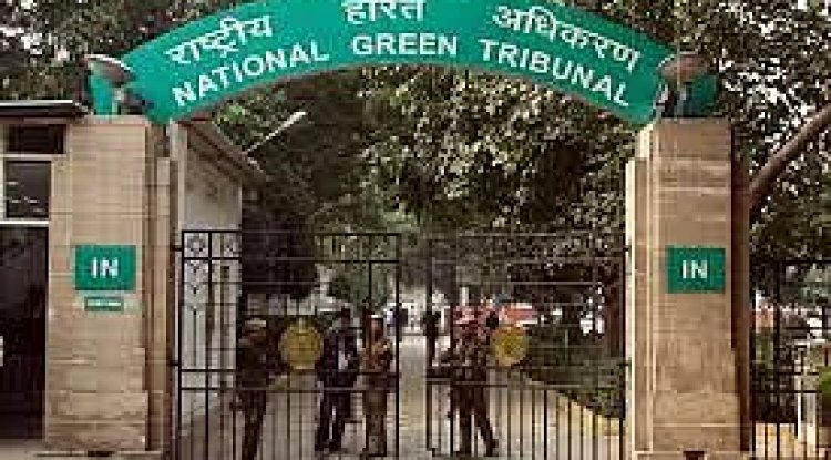 Flood Prevention Priority: NGT Orders Urgent Desilting of Delhi Drains