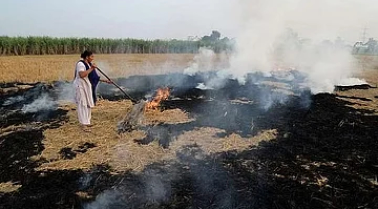 Piyush Goyal Criticizes Blaming Punjab Farmers for Delhi Pollution