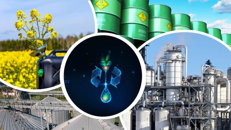 Sasol Leads Renewable Diesel Feedstock Innovation