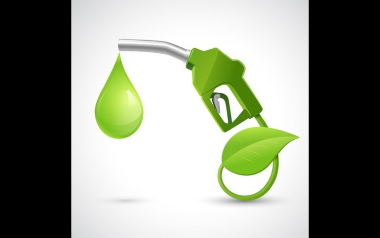 Project Alby Boosts Sustainable Aviation Fuel in Sweden