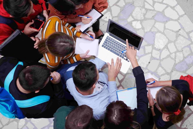 Brighton Businesses Get Green Boost from Student-Led Initiative