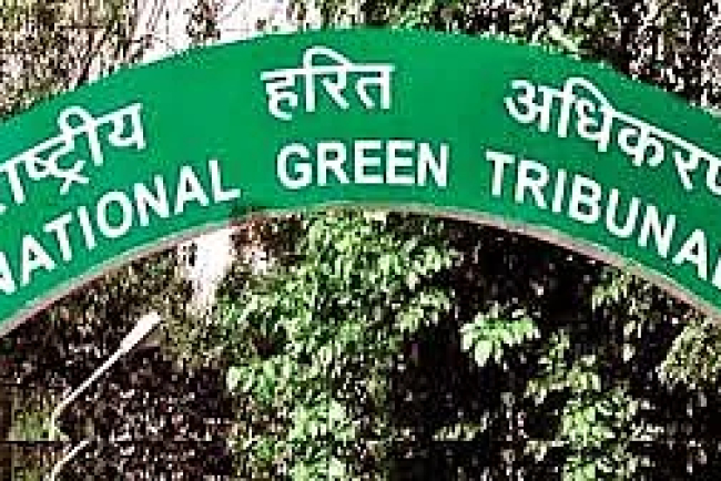 NGT Orders Key Officials to Appear in Illegal Tree Felling Case in Uttarakhand