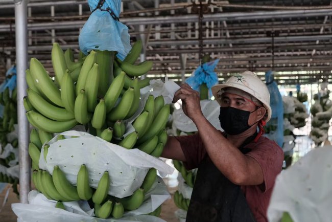 Climate Change to Have Radical Impact on World Crop Variety, New Study Reveals