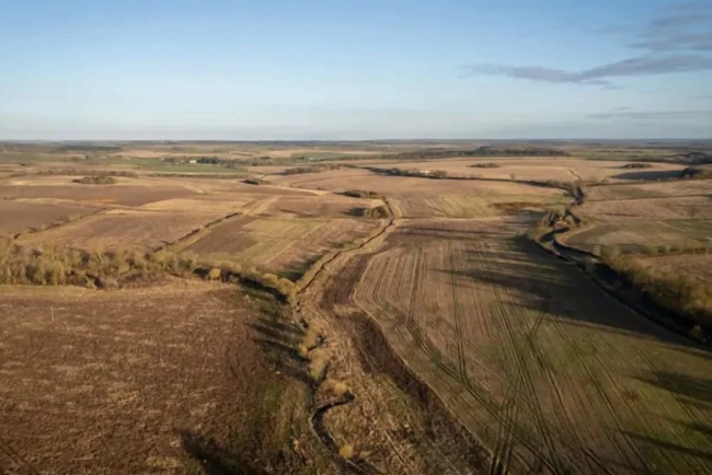 Arup Drives UK Carbon Removal Through Nature-Based Investments