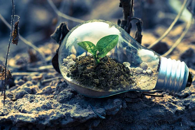 UK Leads Climate Charge: Urges World to Stay On Track Despite US Shift