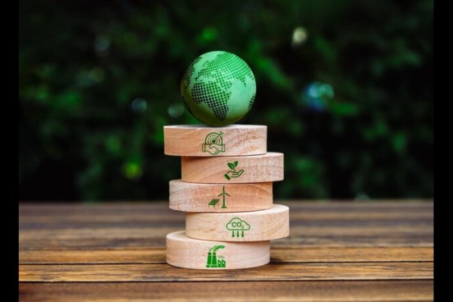 Allianz Achieves Major Sustainability Milestones in 2024