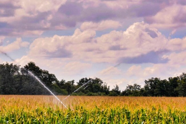 HDFC Bank Parivartan To Irrigate 2 Lakh Acres, Enhancing Water Access