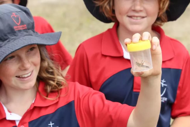 Citizen Science: Students Lead Insect Discovery, Environmental Action