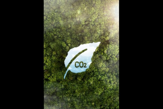 Amazon Launches Carbon Credit Service for Net-Zero Firms