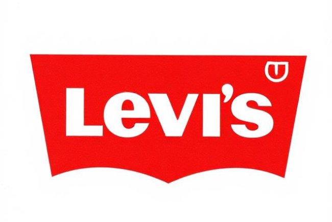 Levi’s Commitment to Water Conservation: The Water<Less Initiative