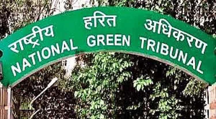 NGT Orders Key Officials to Appear in Illegal Tree Felling Case in Uttarakhand